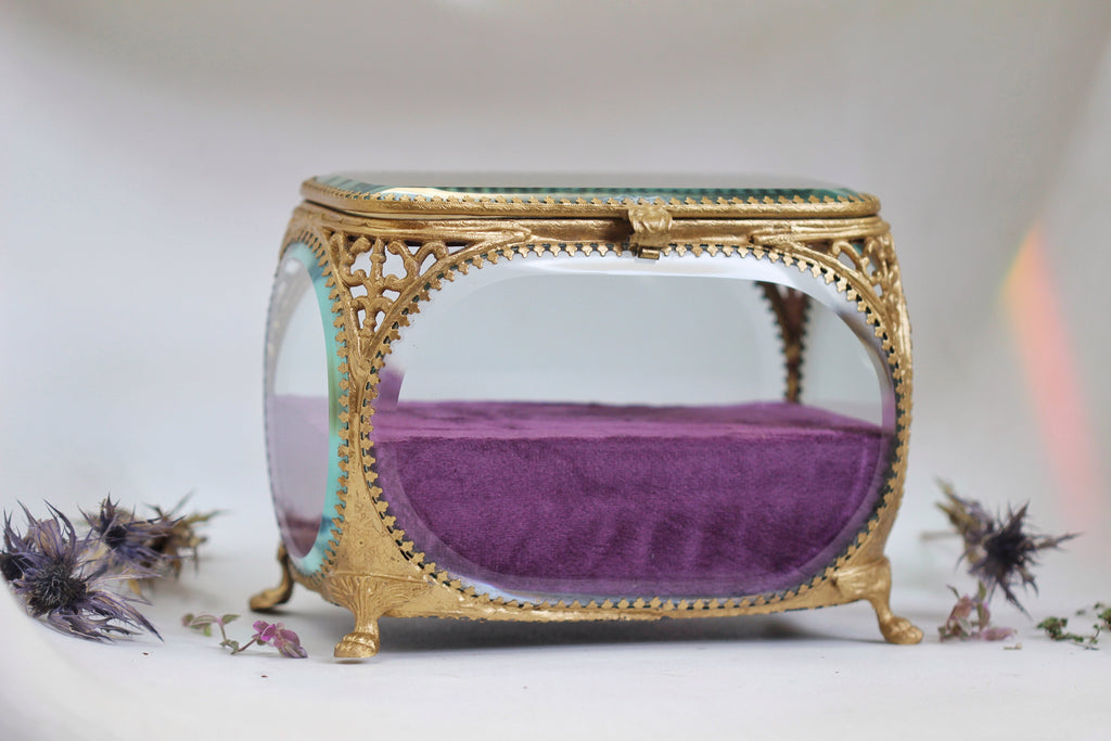 The Avigail Adam Collector's Case / Jewelry Box