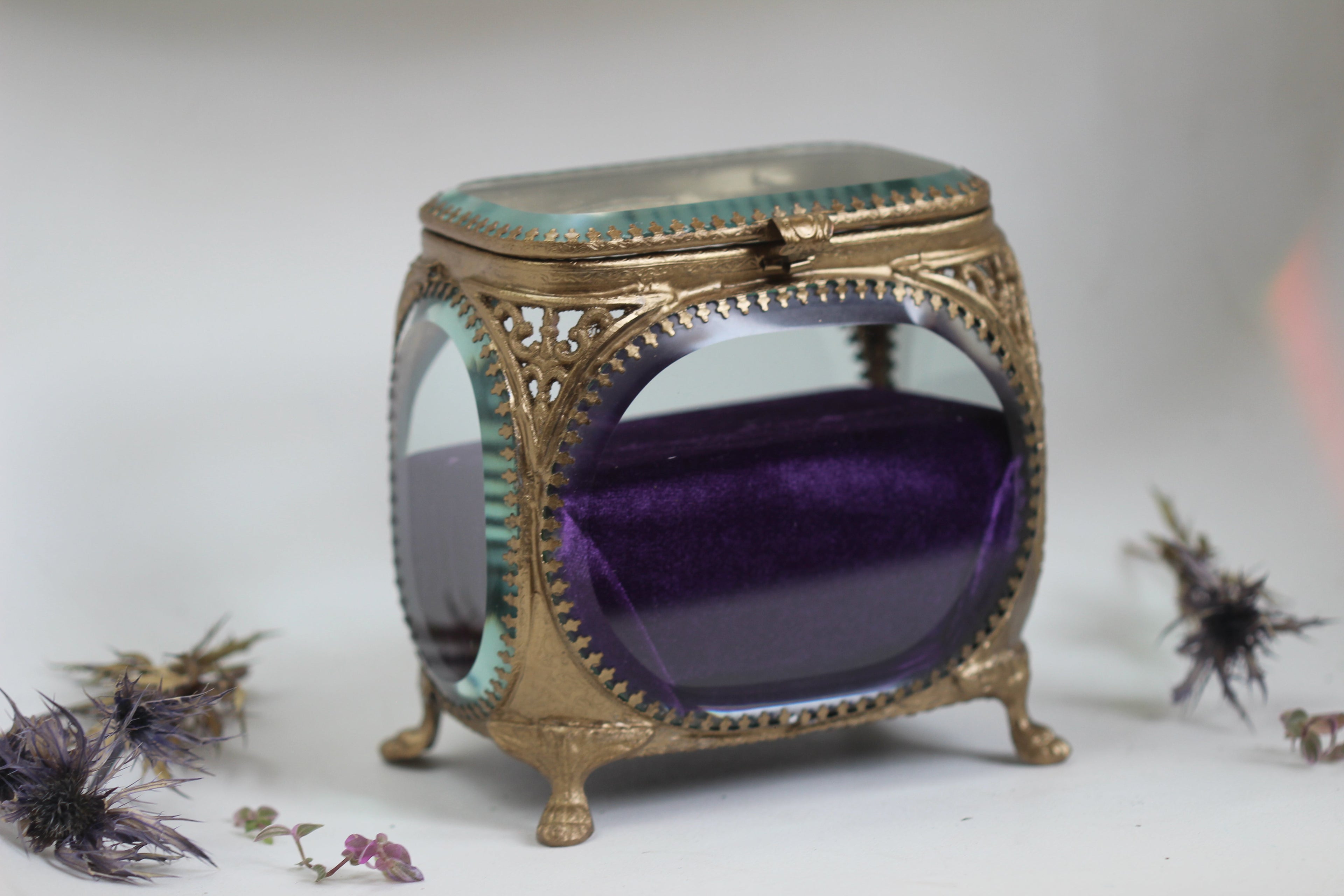 The Avigail Adam Collector's Case / Jewelry Box