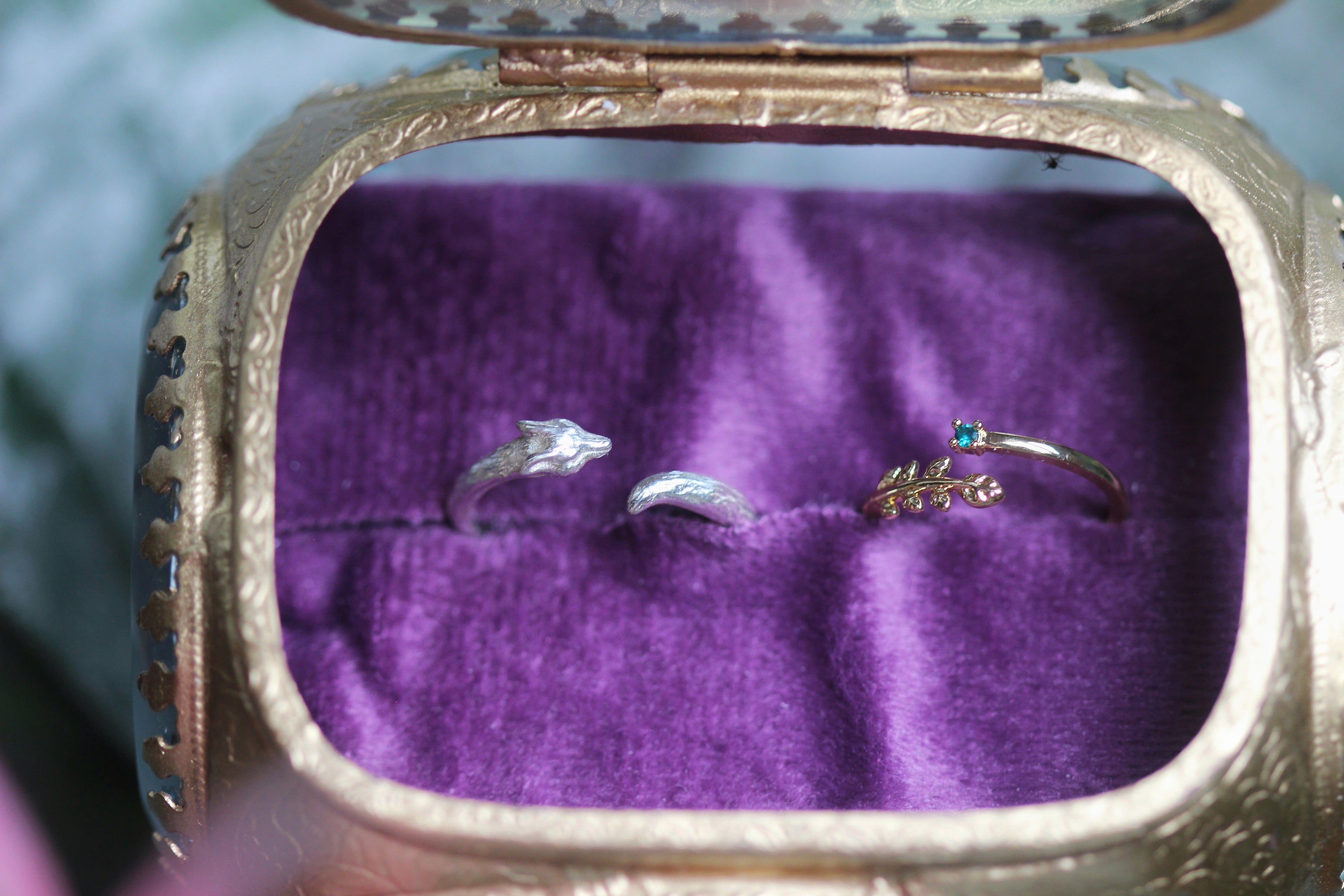 The Avigail Adam Collector's Case / Jewelry Box