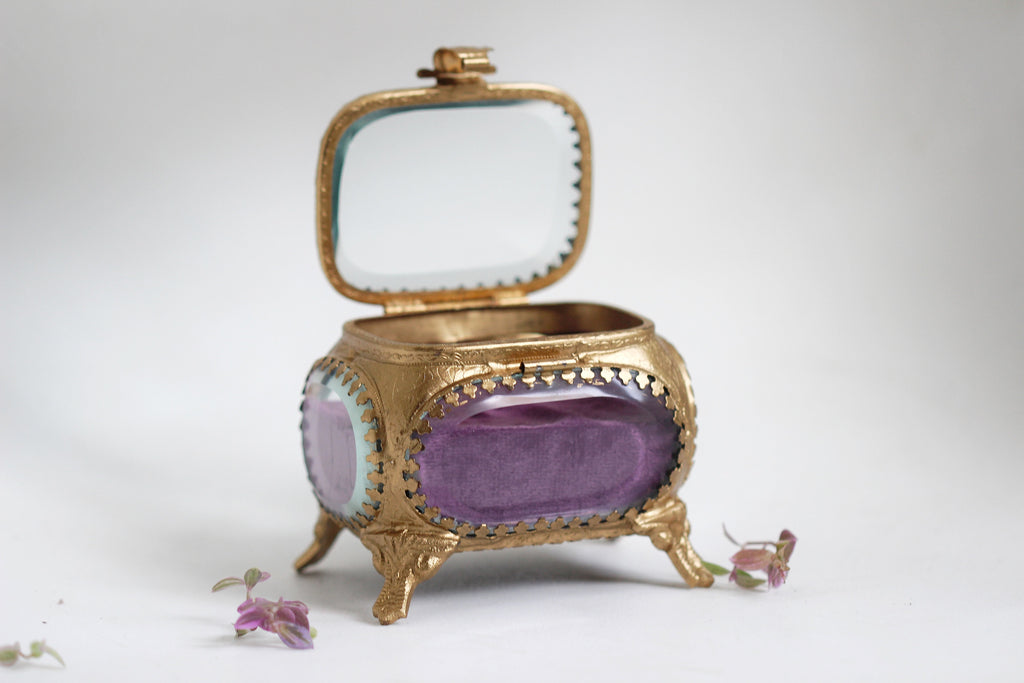 The Avigail Adam Collector's Case / Jewelry Box