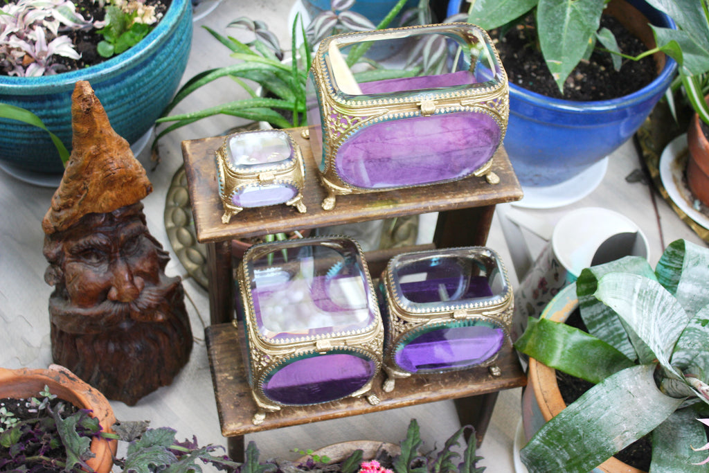 The Avigail Adam Collector's Case / Jewelry Box