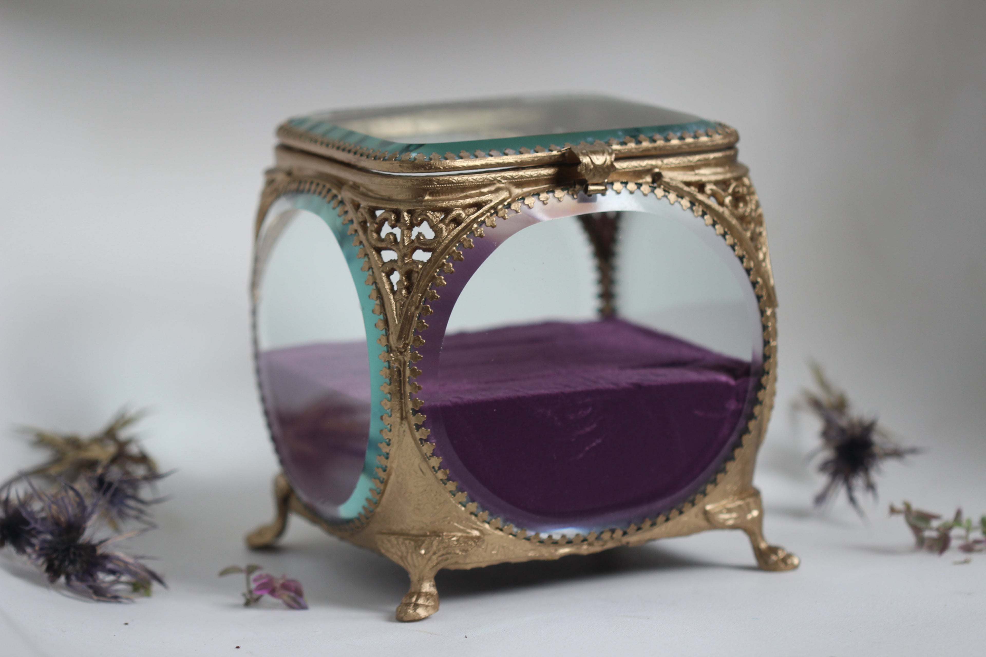 The Avigail Adam Collector's Case / Jewelry Box