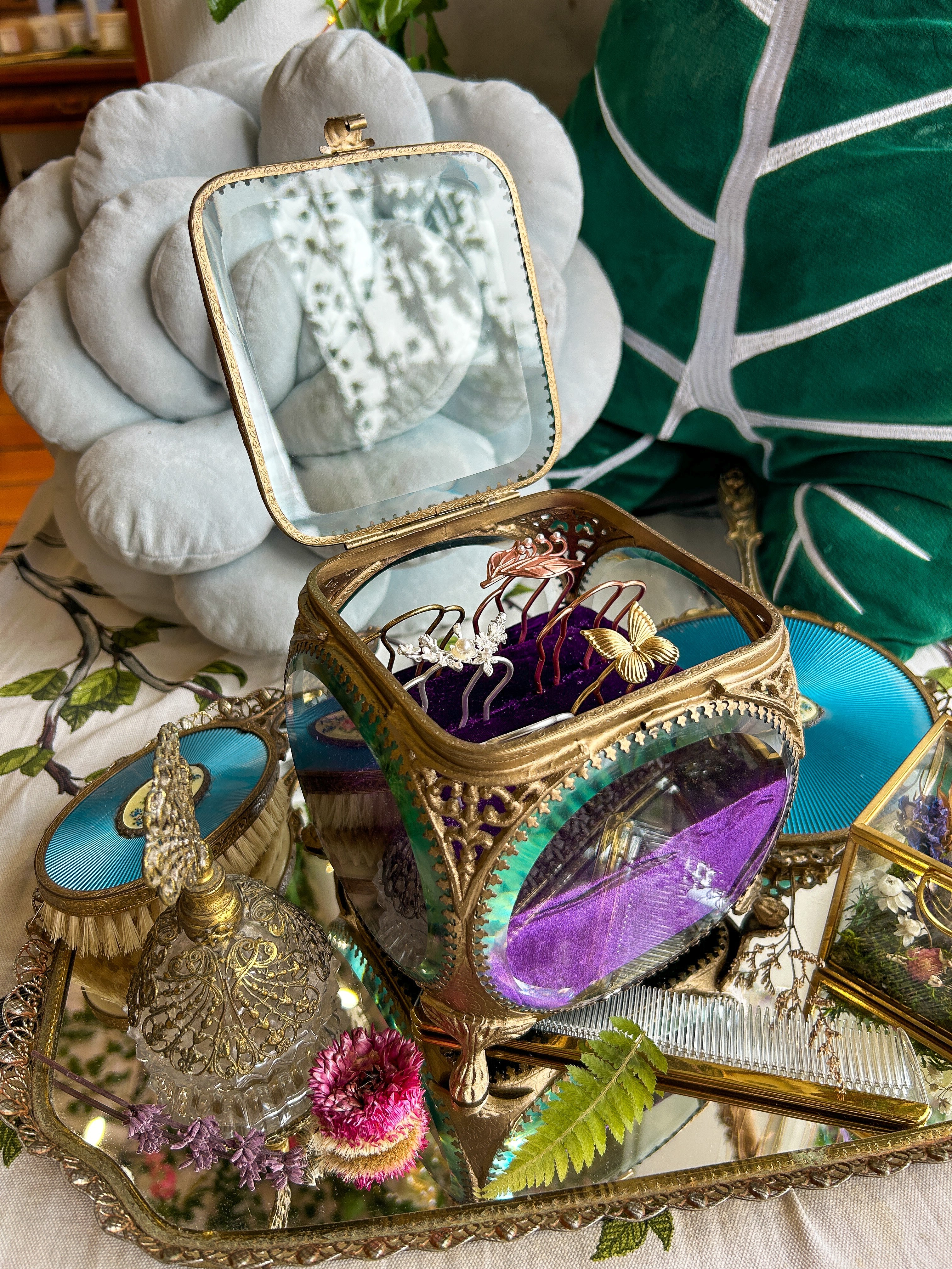 The Avigail Adam Collector's Case / Jewelry Box