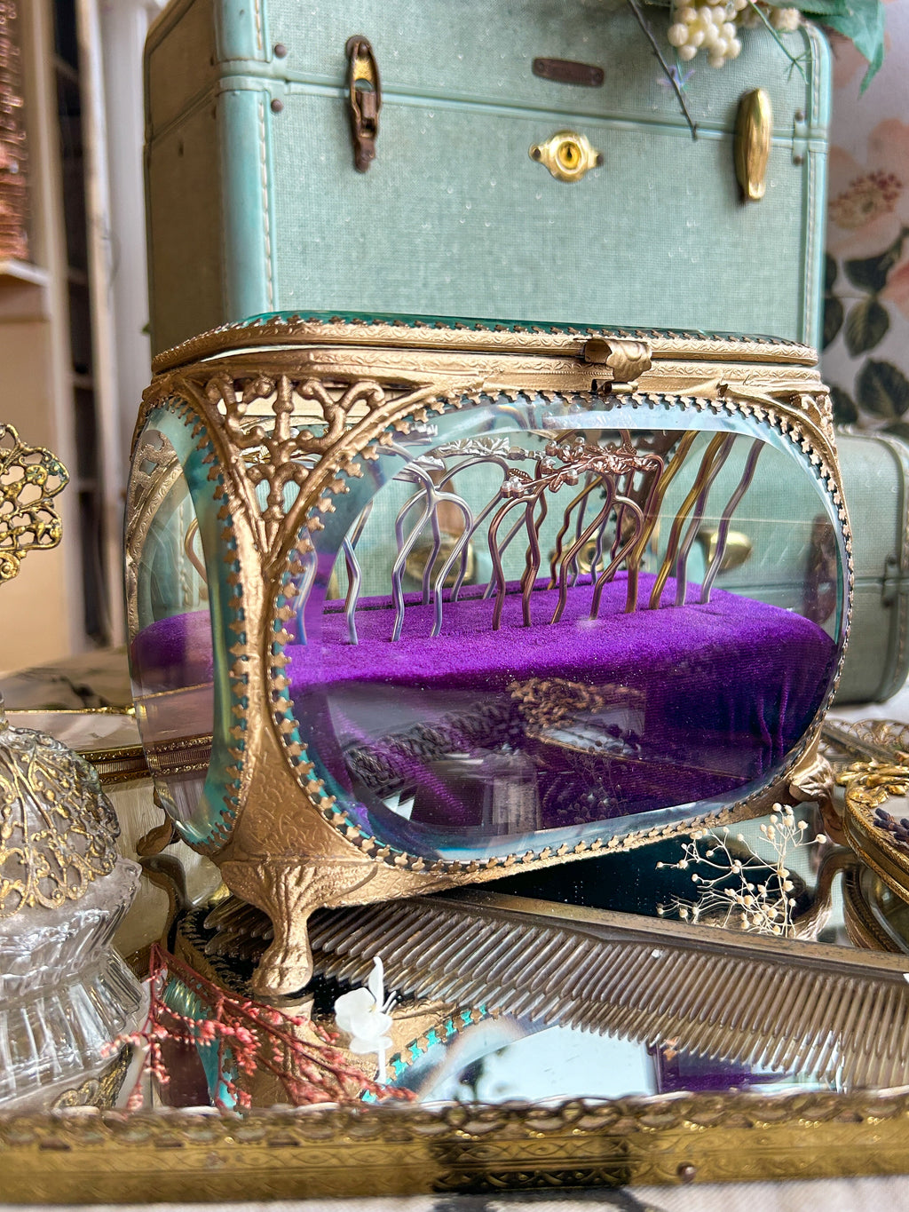 The Avigail Adam Collector's Case / Jewelry Box