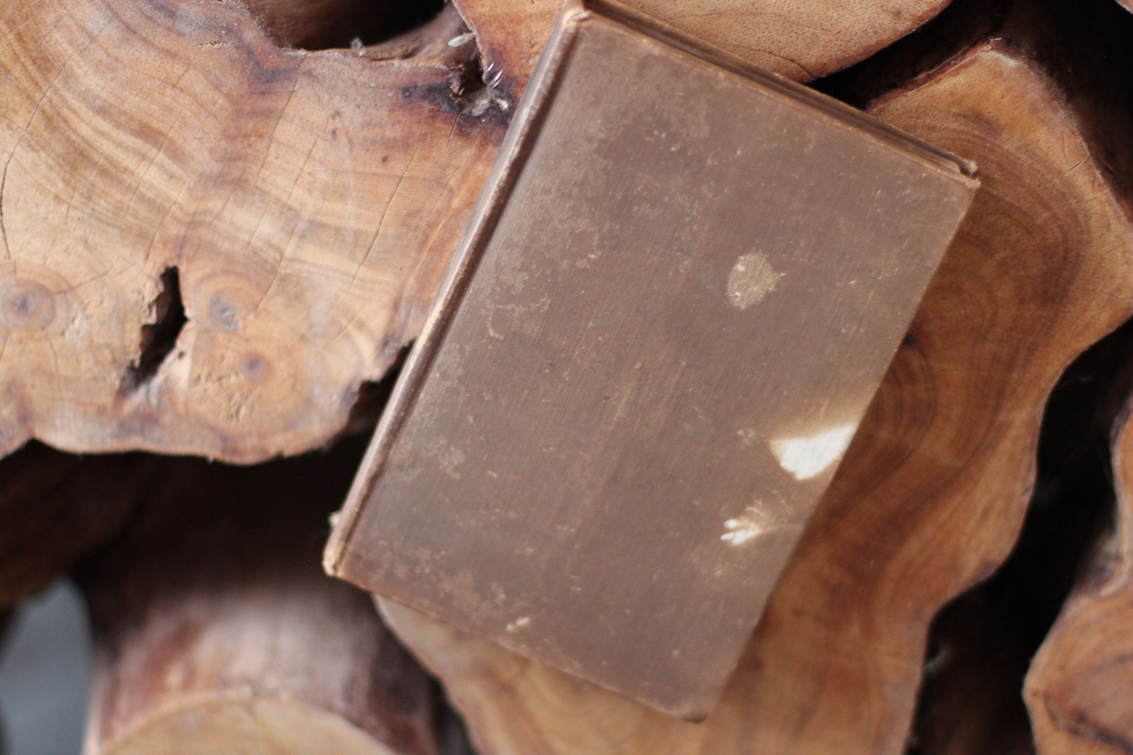 Antique Book Princess Maud & Other Poems by Alfred Lord Tennyson 1900 Hardback.