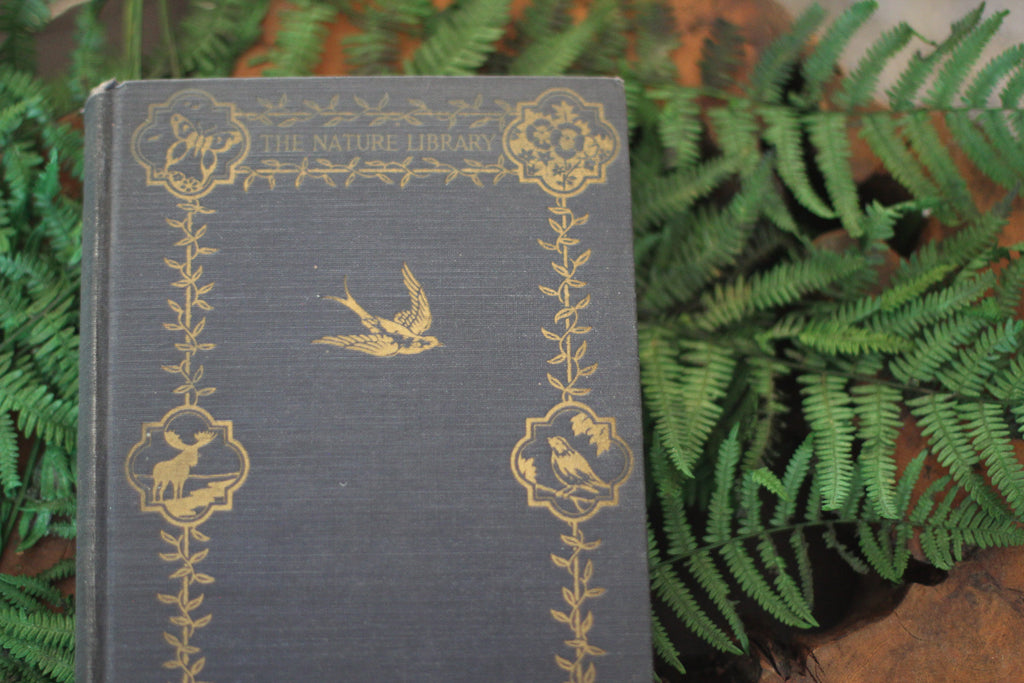 Antique Book The Nature Library Birds by Neltje Blanchan HC 1927 Illustrated