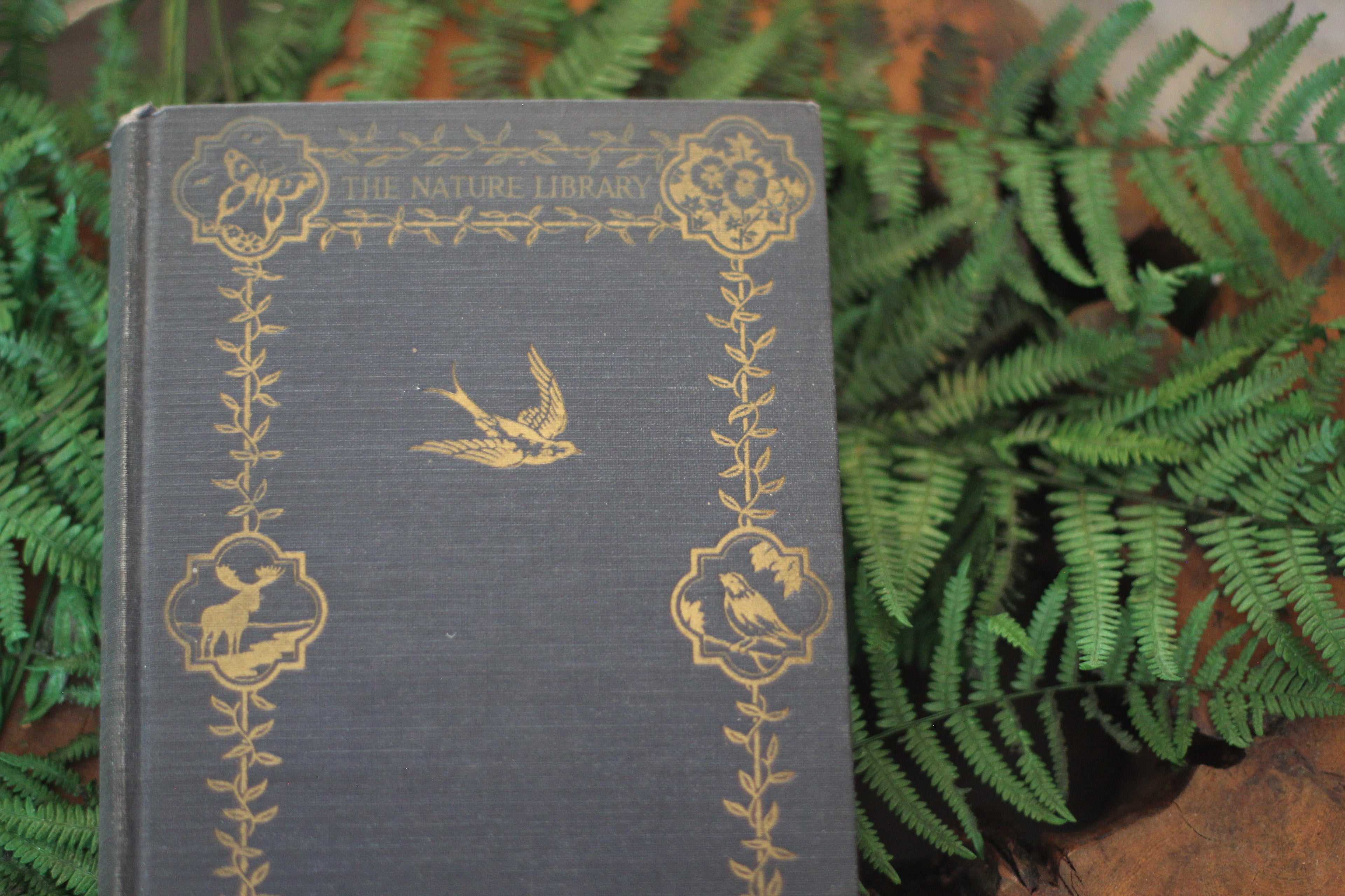 Antique Book The Nature Library Birds by Neltje Blanchan HC 1927 Illustrated