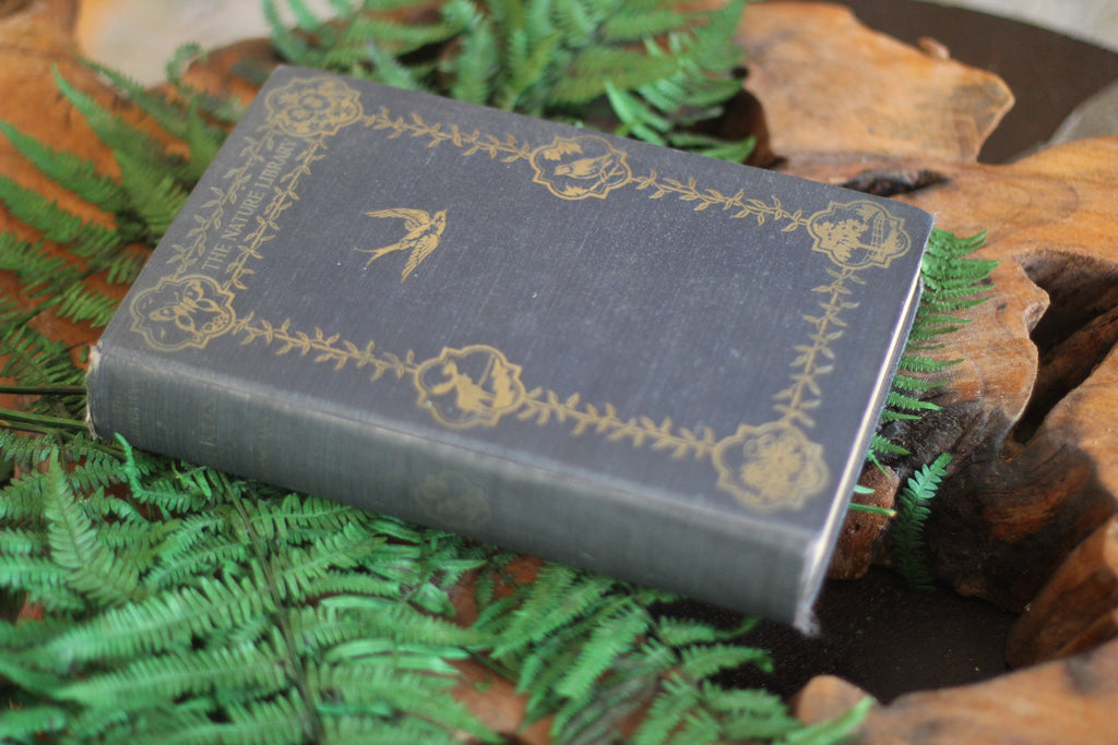 Antique Book The Nature Library Birds by Neltje Blanchan HC 1927 Illustrated