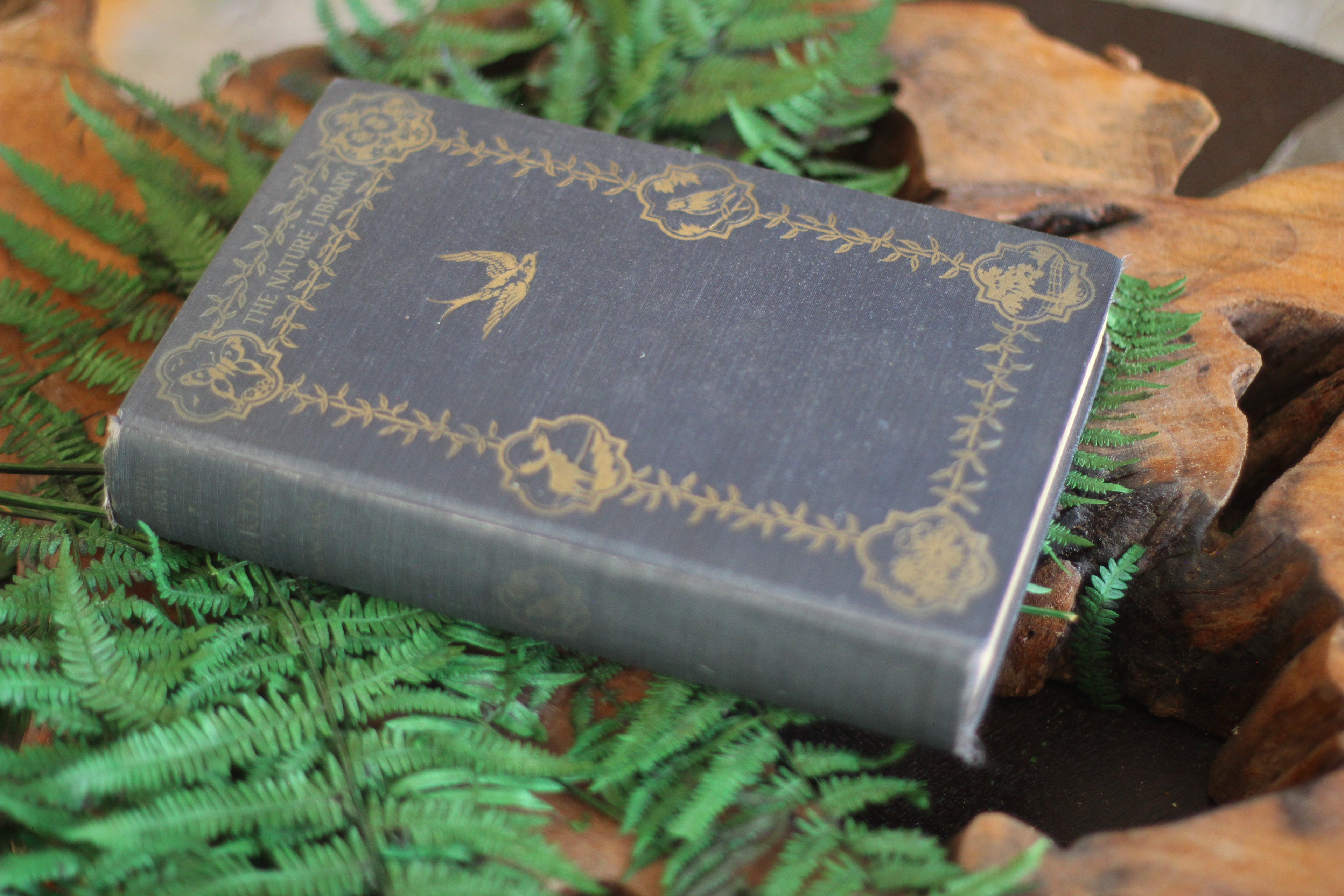 Antique Book The Nature Library Birds by Neltje Blanchan HC 1927 Illustrated