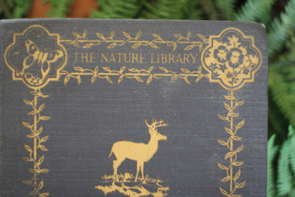 Antique Book The Nature Library Birds by Neltje Blanchan HC 1927 Illustrated