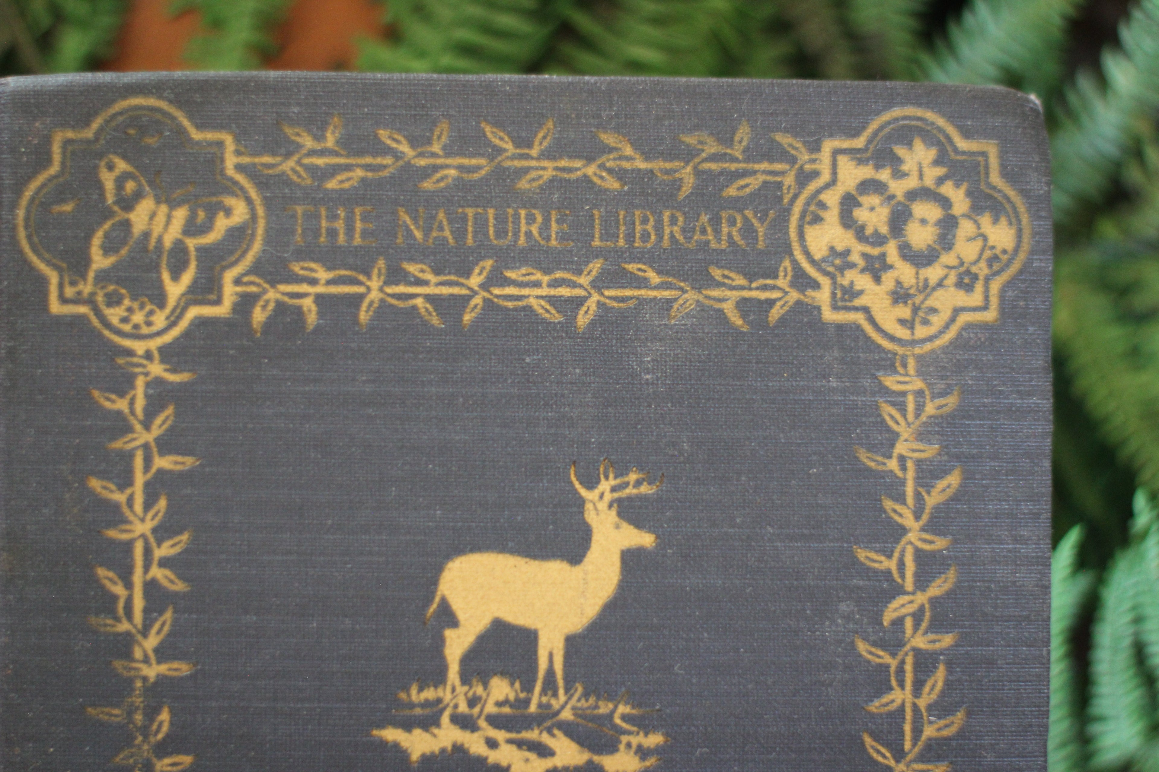 Antique Book The Nature Library Birds by Neltje Blanchan HC 1927 Illustrated