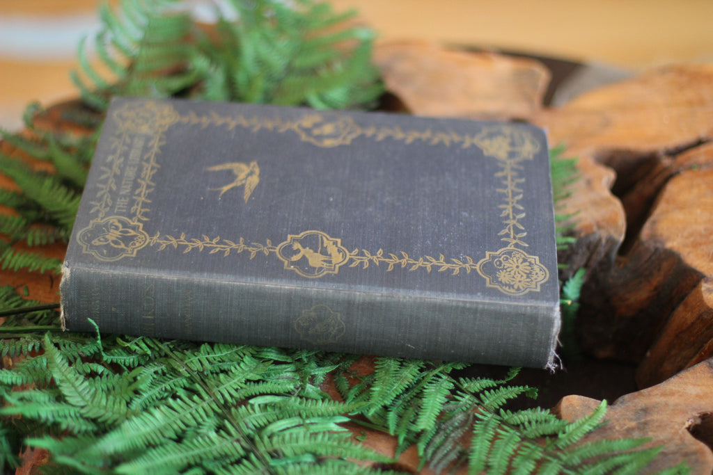 Antique Book The Nature Library Birds by Neltje Blanchan HC 1927 Illustrated