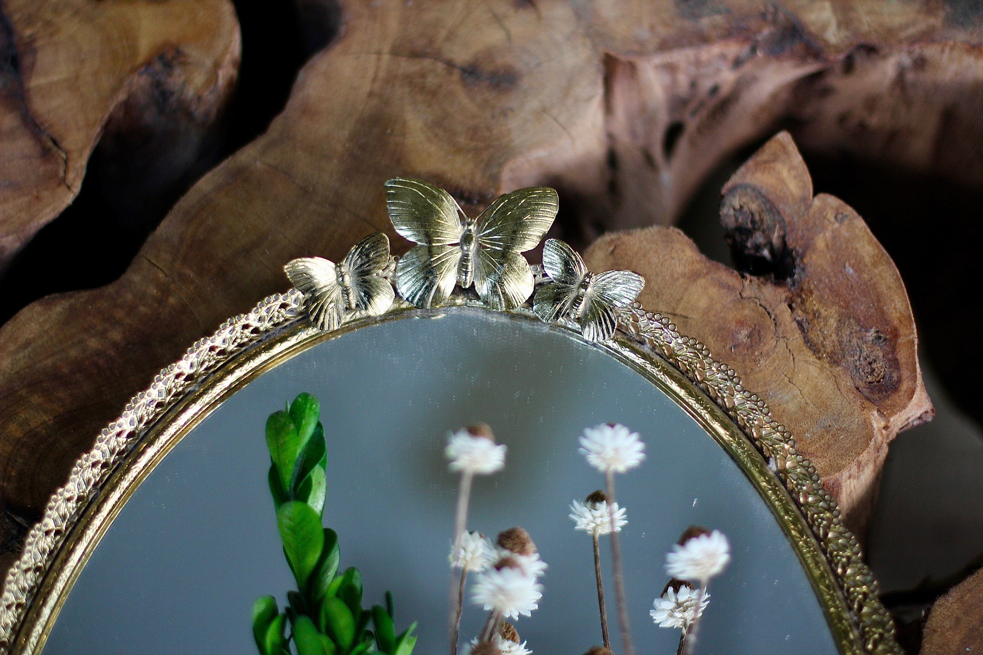 Antique Rare Butterfly Mirror Tray