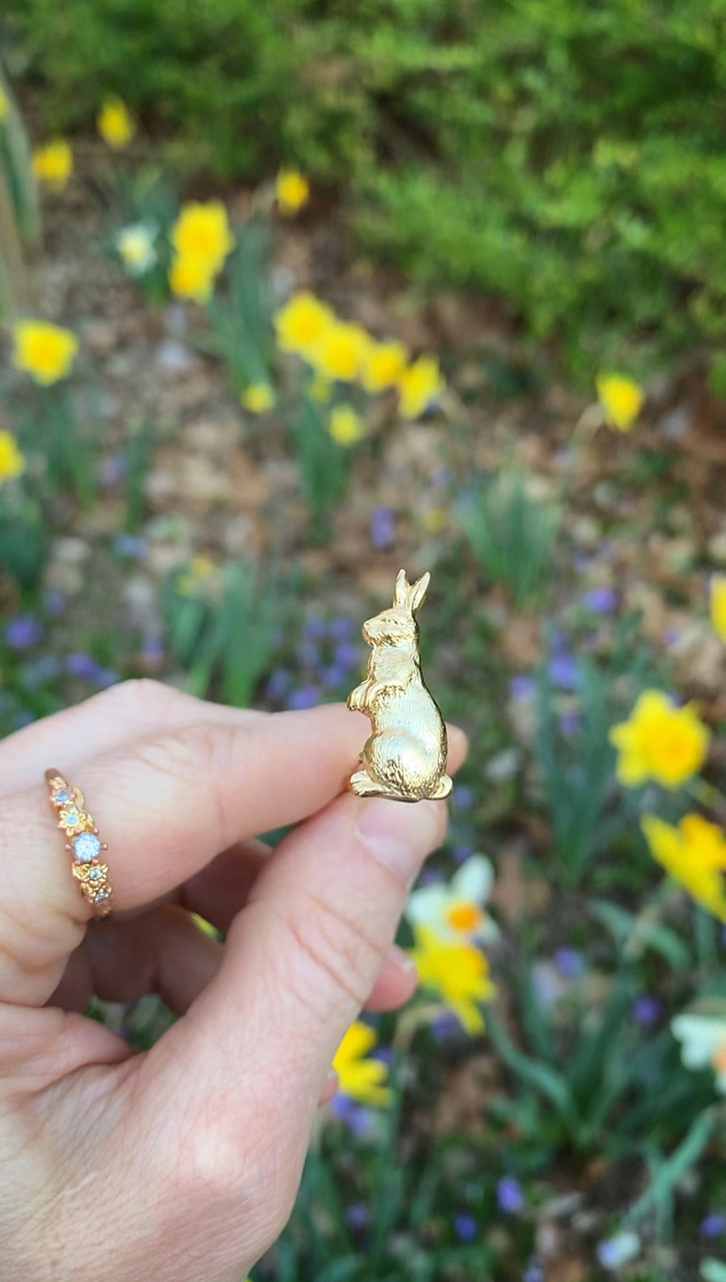 Peter Rabbit Bunny Hair Prong