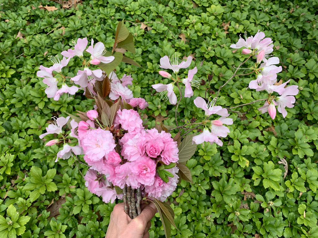 Floral Eden Wreath Barrette