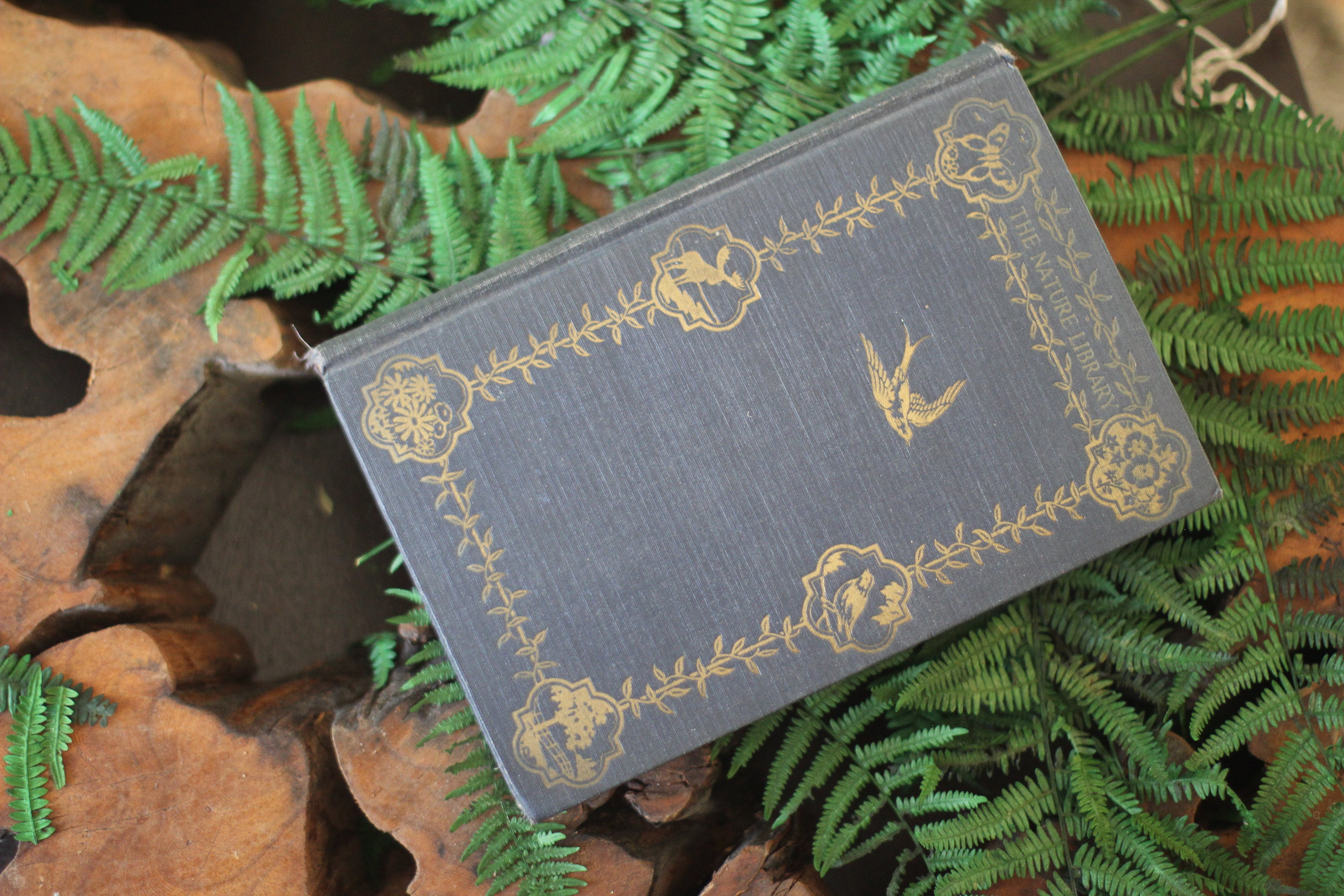 Antique Book The Nature Library Birds by Neltje Blanchan HC 1927 Illustrated