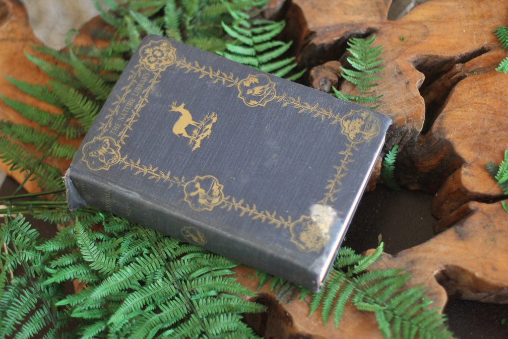 Antique Book The Nature Library Birds by Neltje Blanchan HC 1927 Illustrated