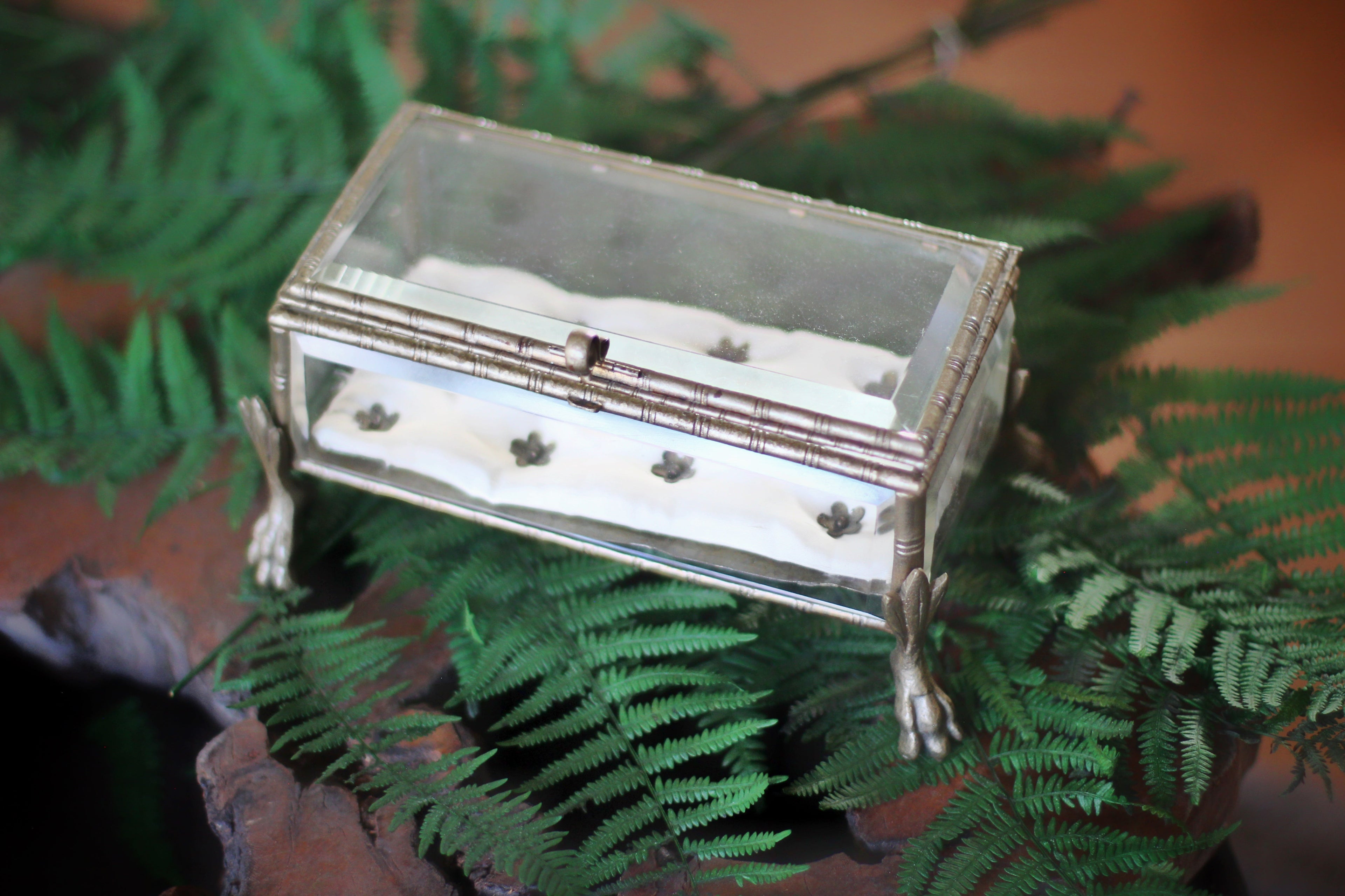 Vintage Claw Feet Platinum Jewelry Box