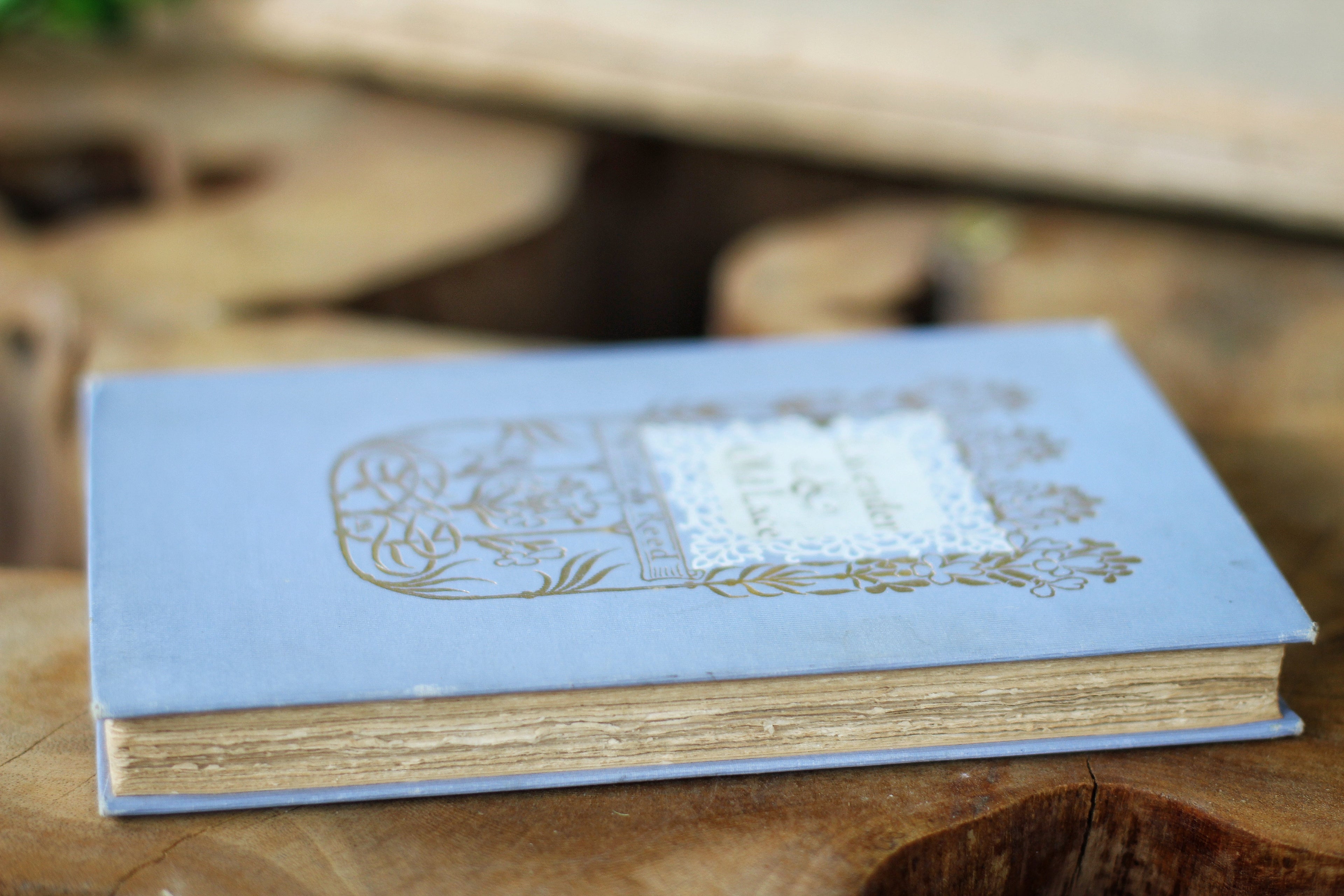 Antique Book Lavender & Old Lace, Myrtle Reed, 1902, Hardback