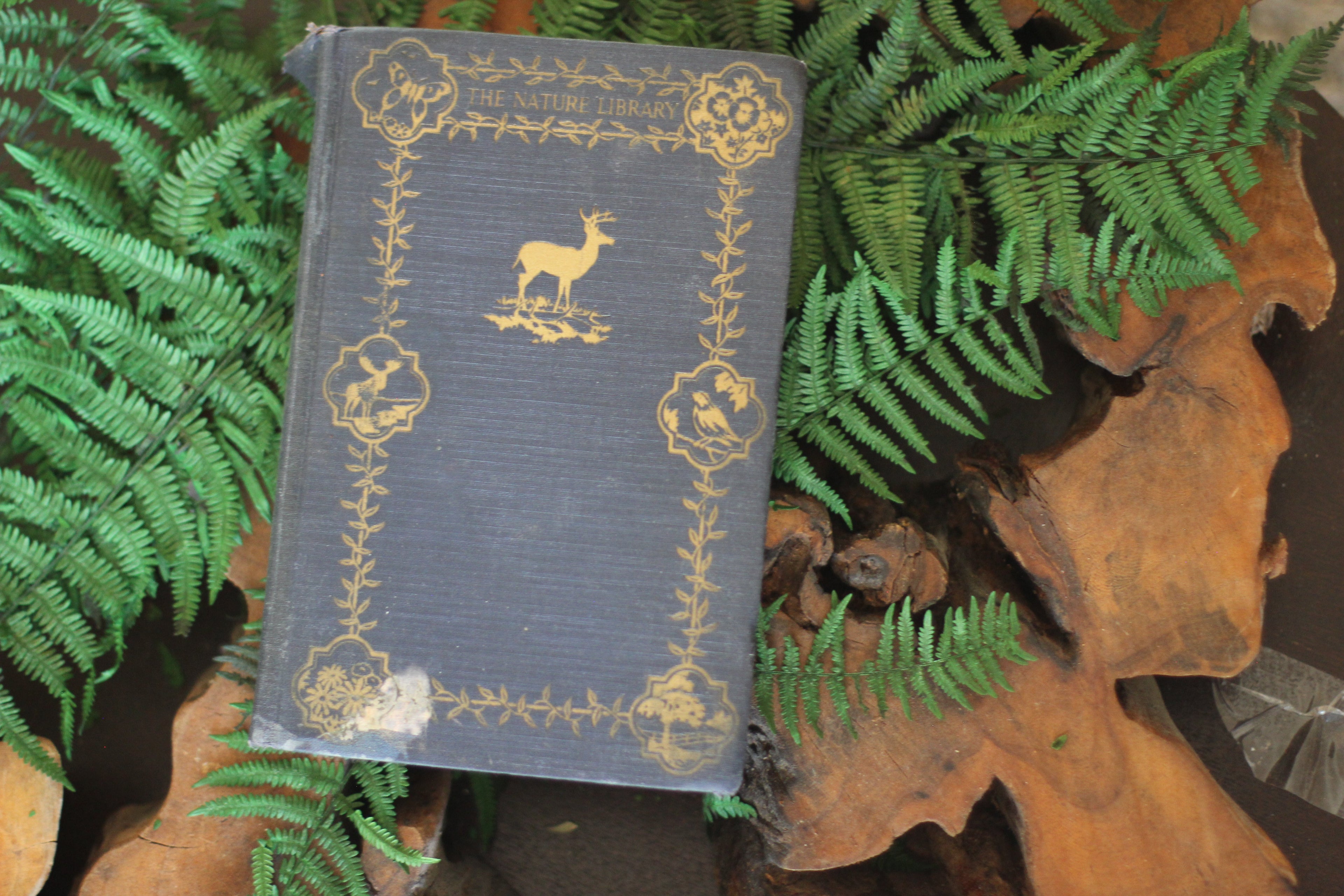 Antique Book The Nature Library Birds by Neltje Blanchan HC 1927 Illustrated