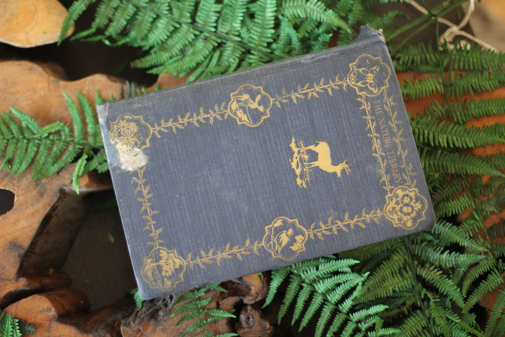 Antique Book The Nature Library Birds by Neltje Blanchan HC 1927 Illustrated