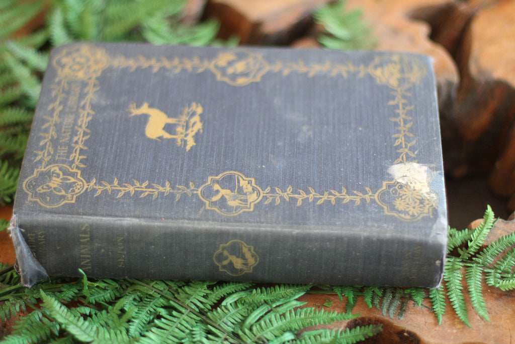 Antique Book The Nature Library Birds by Neltje Blanchan HC 1927 Illustrated
