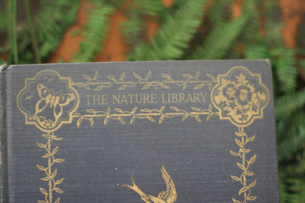 Antique Book The Nature Library Birds by Neltje Blanchan HC 1927 Illustrated