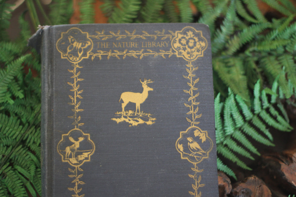 Antique Book The Nature Library Birds by Neltje Blanchan HC 1927 Illustrated