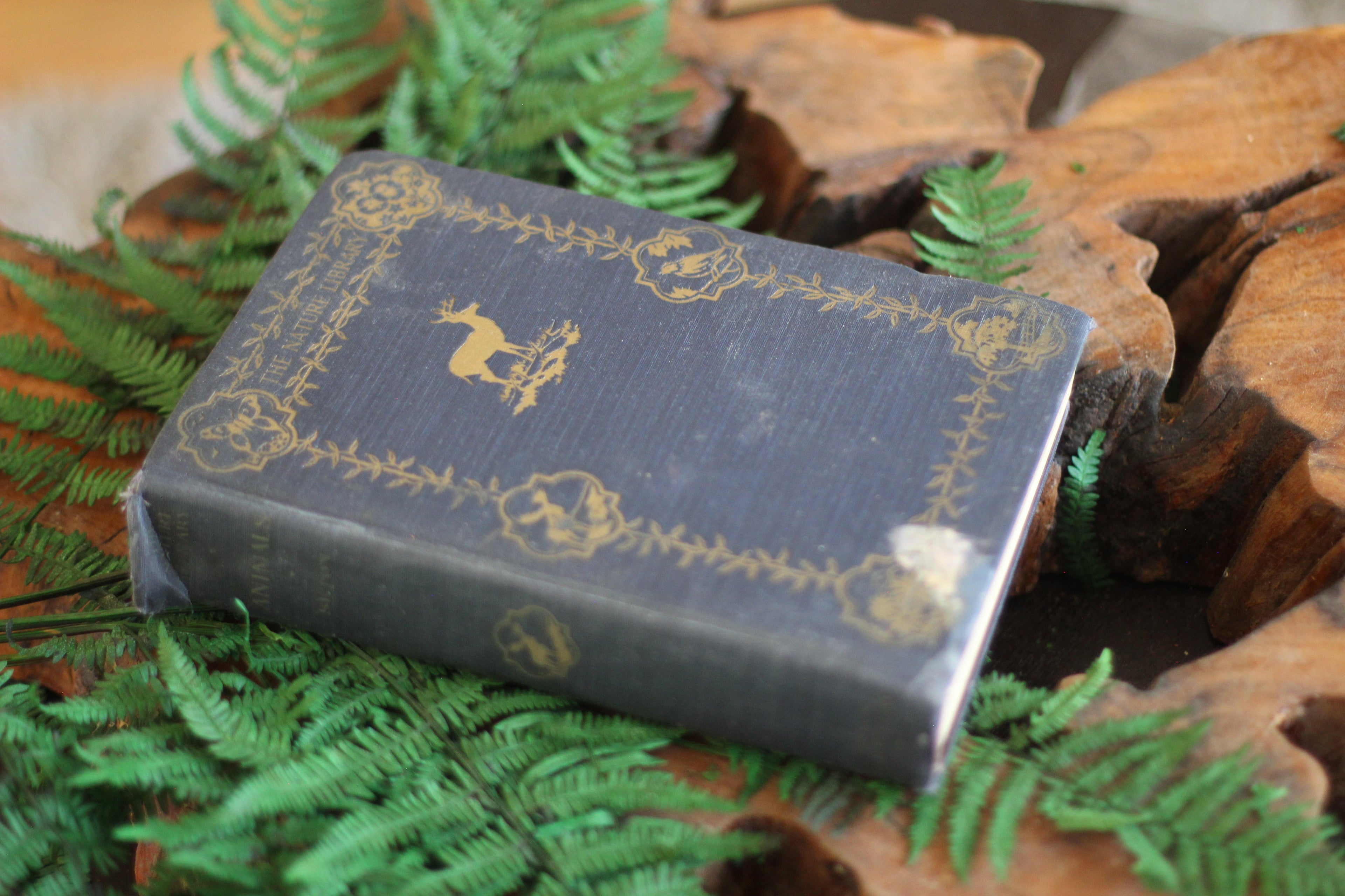 Antique Book The Nature Library Birds by Neltje Blanchan HC 1927 Illustrated